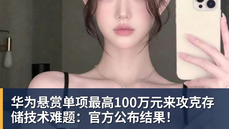 华为悬赏单项最高100万元来攻克存储技术难题：官方公布结果！